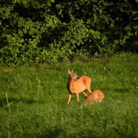 Spacious Place In Сasa de vacaciones