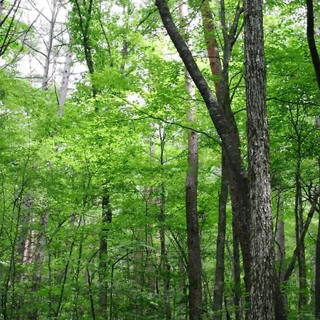 Сasa de vacaciones Spacious Place In